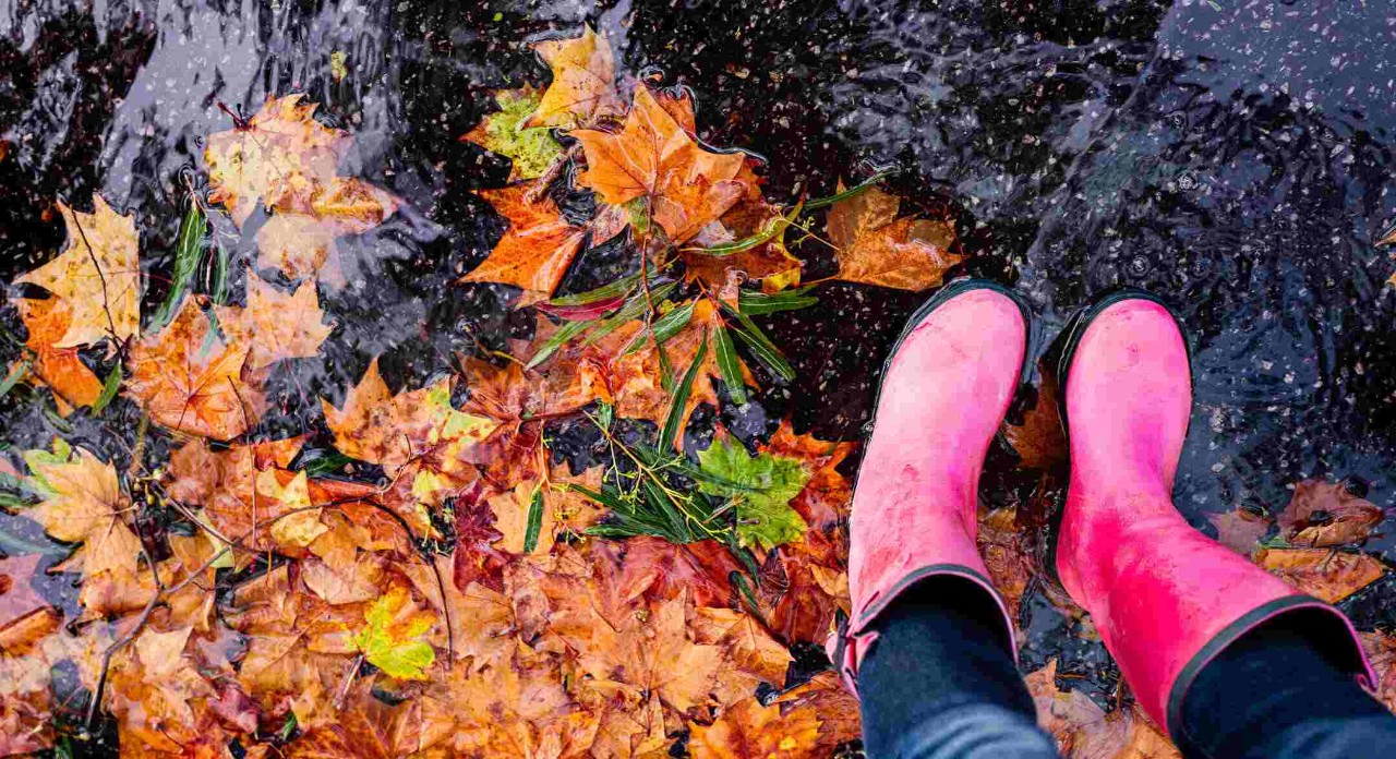 Person wearing wellington boots walking on leaves
